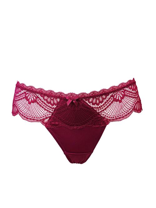 SugarShape String 'Pure Divine'  bordeaux