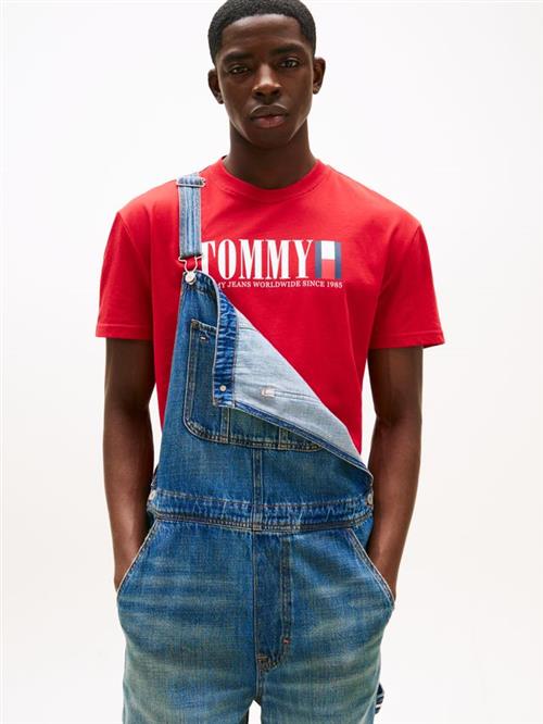 TJM REG TOMMY DNA FLAG TEE EXT