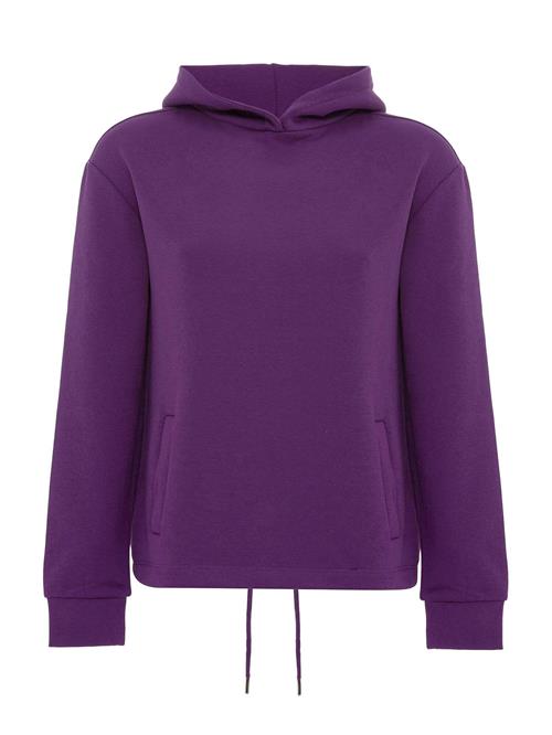 Jacey Quinn Sweatshirt  lilla / sort