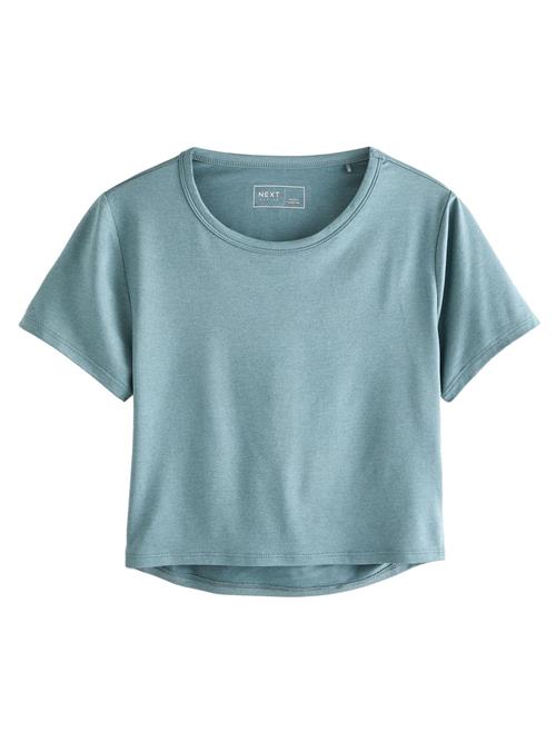 Next Shirts  blå / offwhite