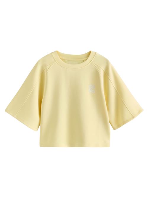 Next Shirts  lysegul