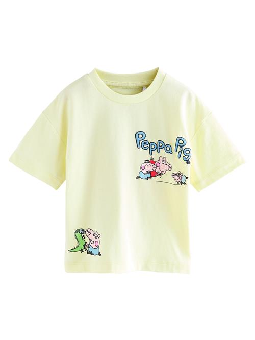 Next Shirts  himmelblå / pastelgul / pink / rød