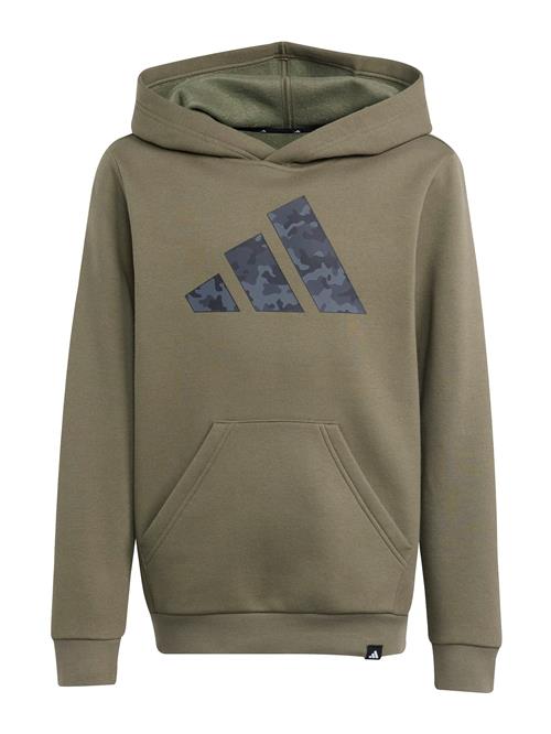 ADIDAS SPORTSWEAR Sweatshirt  grå / mørkegrå / oliven / sort