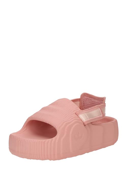 ADIDAS ORIGINALS Sandaler 'ADILETTE 22'  blomme / rosé