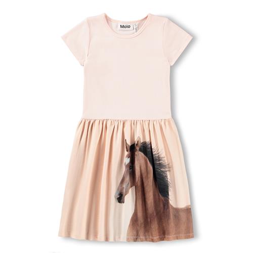 Molo GOTS Cissa Kjole Wild Pony  Wild Pony 92/98 cm  Lyserød  92/98 cm  kvinde