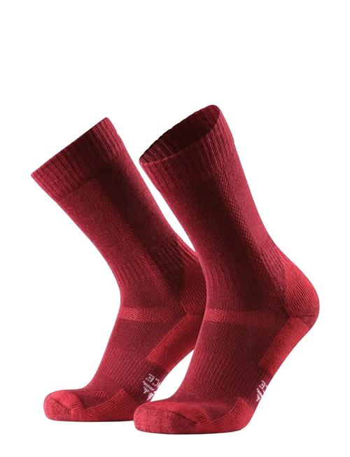 Danish Endurance | Classic Hiking Crew Socks 1-Pack | 39-42