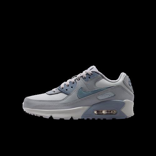 Nike Air Max 90 LTR-sko til større børn - grå