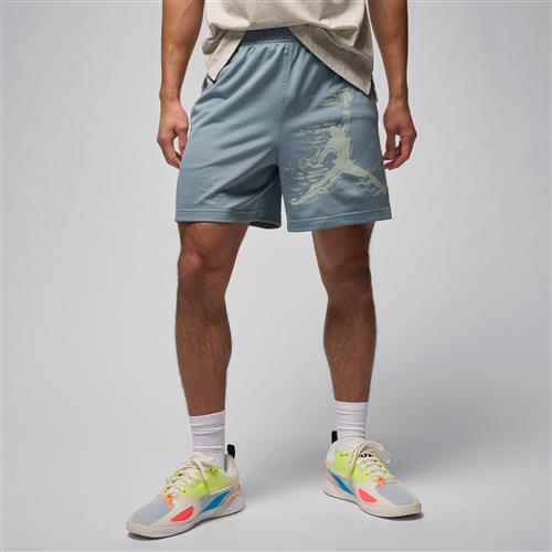 Jordan Sport Dri-FIT-shorts med grafik til mænd - grå