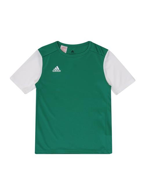 ADIDAS PERFORMANCE Funktionsskjorte 'Estro 19'  mørkegrøn / hvid