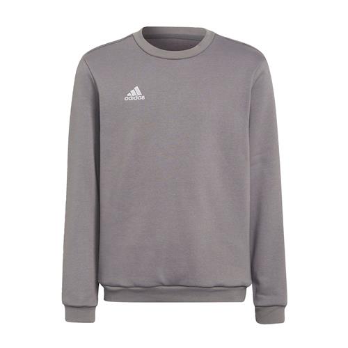 ADIDAS PERFORMANCE Sportsweatshirt 'Entrada 22'  mørkegrå / hvid