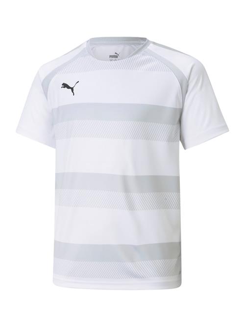 PUMA Funktionsskjorte 'TeamVision'  grå / greige / lysegrå / sort