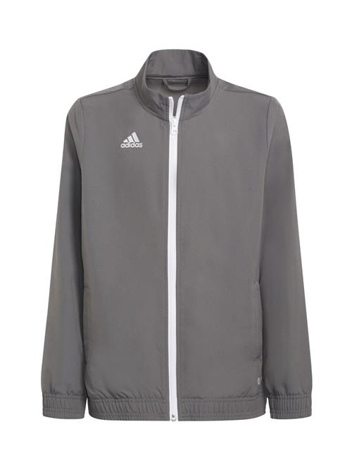 ADIDAS PERFORMANCE Sportsjakke 'Entrada 22 Presentation'  grå / hvid