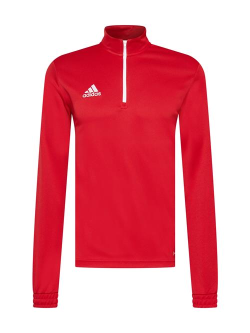 ADIDAS PERFORMANCE Sportsweatshirt 'Entrada 22 '  rød / hvid