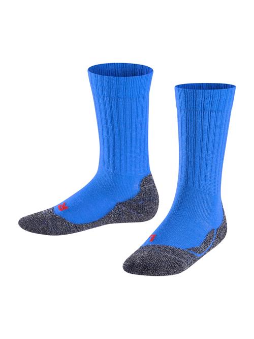 FALKE Sportssokker  royalblå / rød / sort-meleret