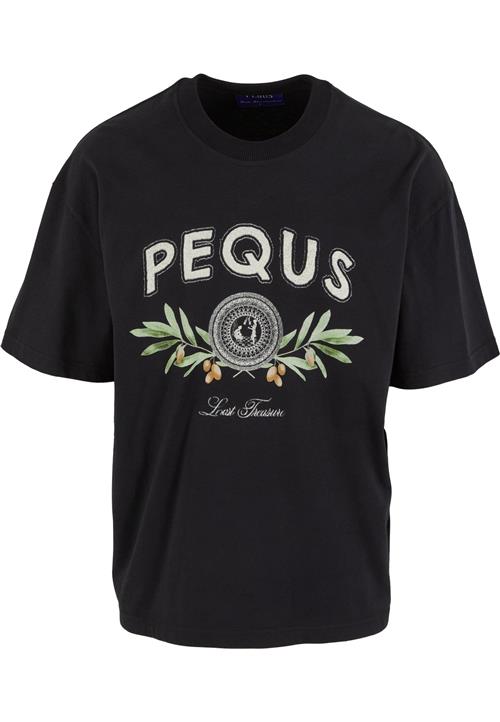 Pequs Bluser & t-shirts 'Olive Coin Relic'  grå / oliven / sort / hvid