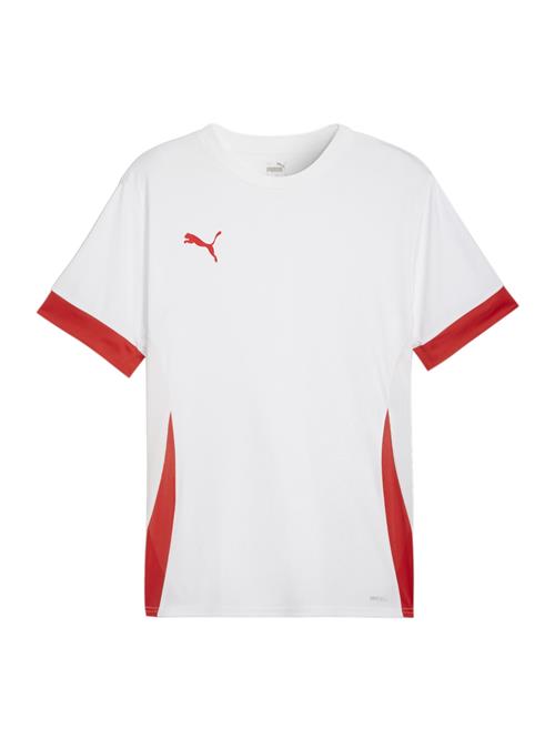 PUMA Funktionsskjorte 'TeamGoal Matchday'  rød / hvid