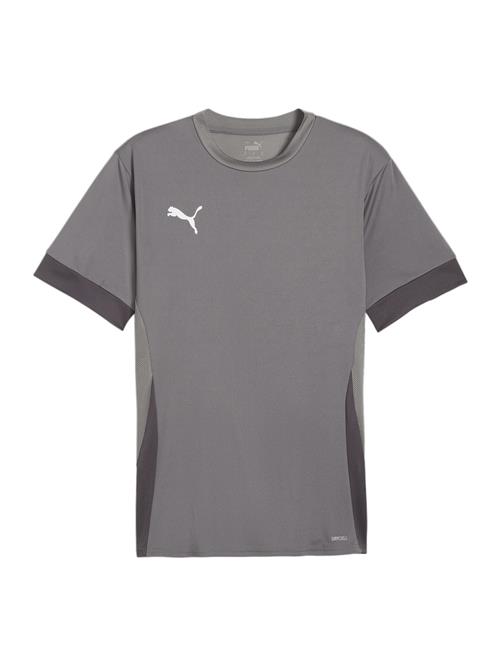 PUMA Funktionsskjorte  grå / mørkegrå / hvid