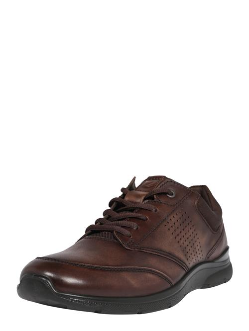 ECCO Snøresko 'Irving'  mørkebrun / sort