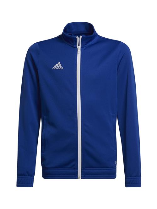 ADIDAS PERFORMANCE Sportsjakke 'Entrada 22'  mørkeblå / hvid