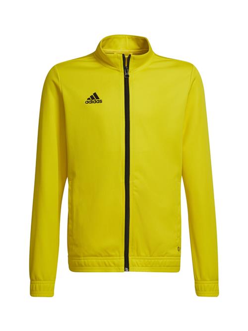 ADIDAS PERFORMANCE Sportsjakke 'Entrada 22'  citron