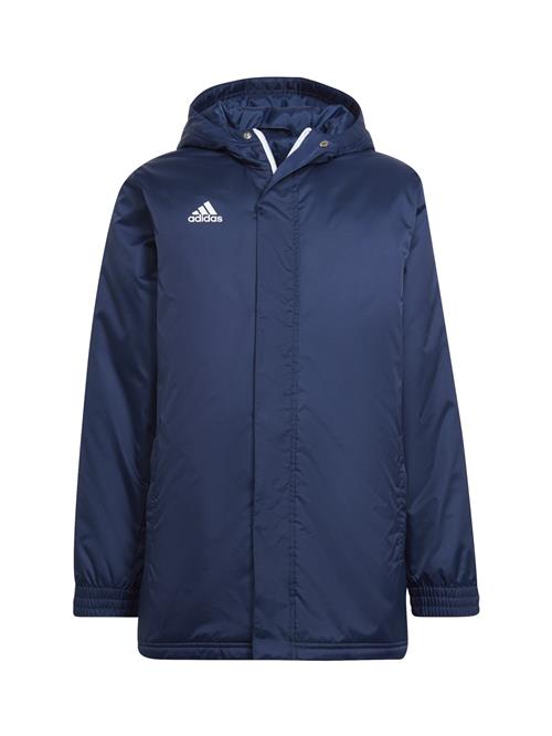 ADIDAS PERFORMANCE Sportsjakke 'Entrada 22'  blå / hvid