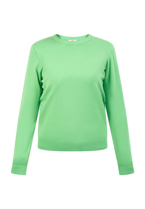 MYMO Pullover  lysegrøn