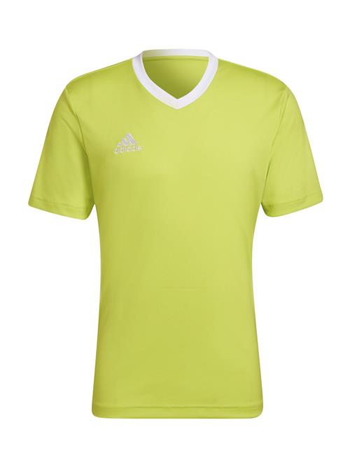 ADIDAS PERFORMANCE Funktionsskjorte 'Entrada 22'  æble / hvid