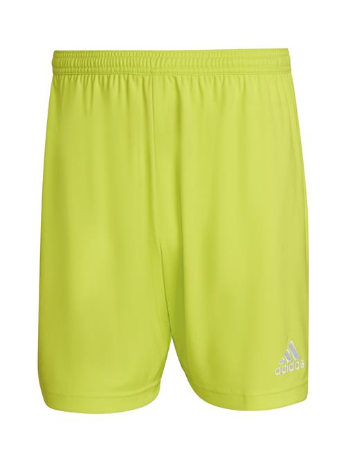 ADIDAS PERFORMANCE Sportsbukser 'Entrada 22'  lime / sølv