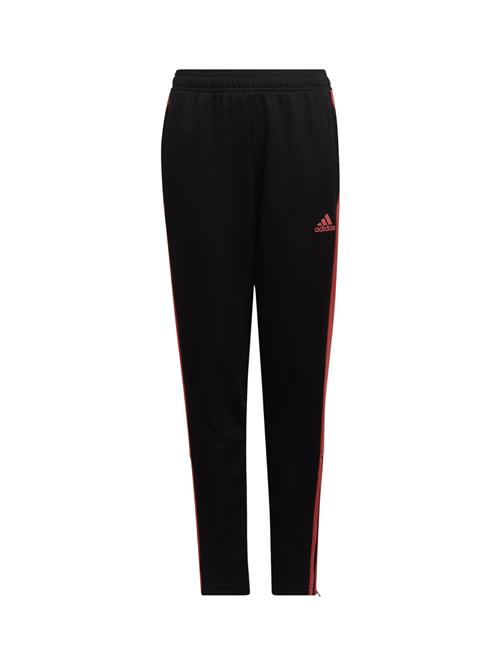 ADIDAS PERFORMANCE Sportsbukser  blodrød / sort