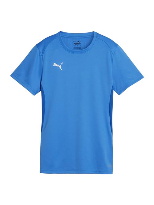 PUMA Funktionsbluse 'Team Goal'  blå / hvid