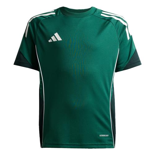 ADIDAS PERFORMANCE Funktionsskjorte 'Tiro 25 Competition'  grøn / mørkegrøn / hvid