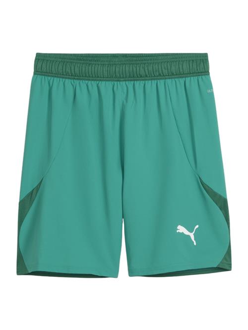 PUMA Sportsbukser 'TeamFinal'  smaragd / gran / hvid
