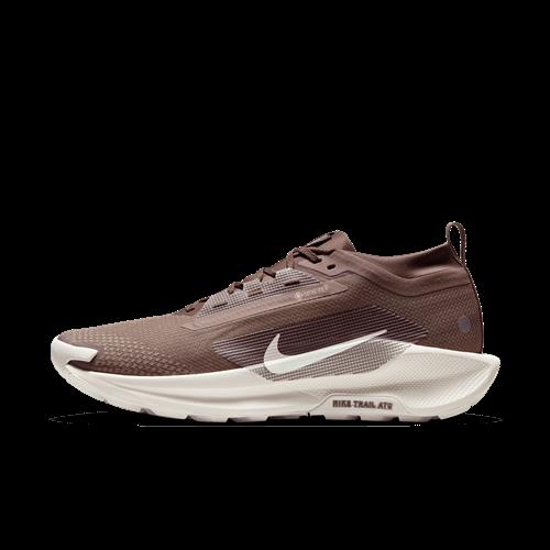Vandtætte Nike Pegasus Trail 5 GORE-TEX SP-trailløbesko til mænd - brun