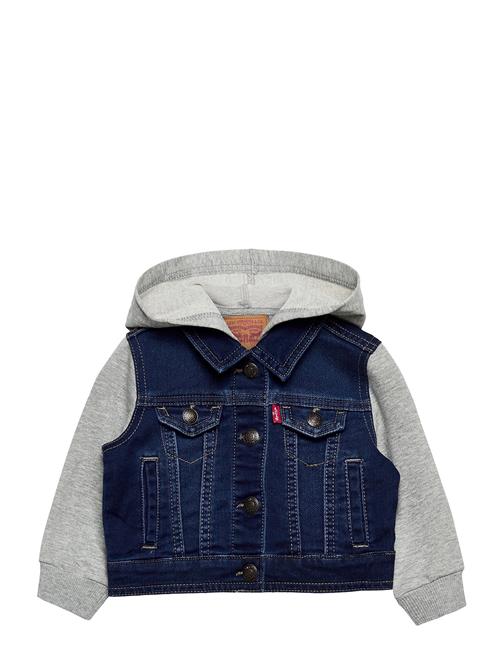 Levi's | Levi's® Hooded Trucker Jacket | 68