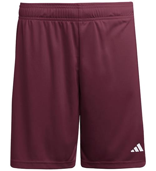adidas Performance Shorts - ENT26 SHO Y - TEAMAR/WHITE