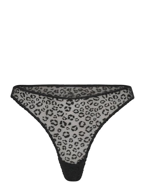 Understatement Underwear | Lace Thong | S
