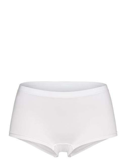 CCDK Copenhagen | Modal Shorts Brief | XS