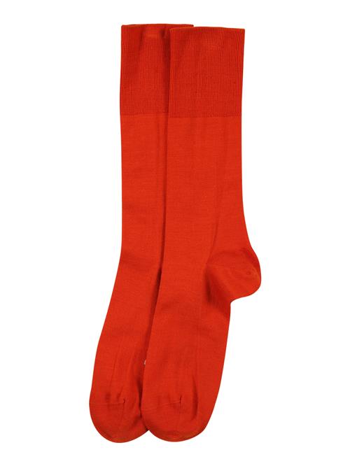 FALKE Sokker 'Airport'  mørkeorange