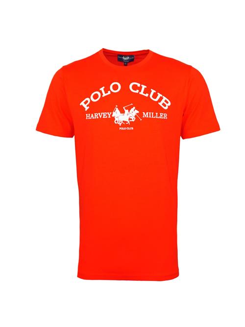 HARVEY MILLER Bluser & t-shirts 'Polo Club'  rød / hvid