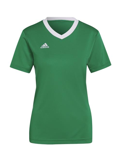 ADIDAS PERFORMANCE Fodboldtrøje 'Entrada 22'  grøn / hvid
