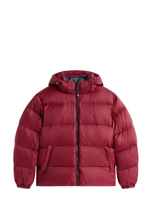 Tommy Jeans | Tjm Essential Down Jacket Ext | L
