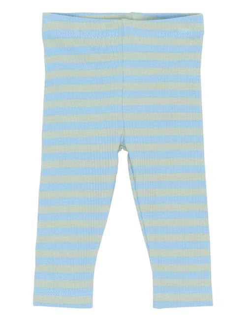 The New | Tnsbfro Rib Leggings | 80