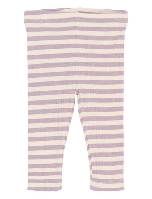 The New | Tnsbfro Rib Leggings | 92