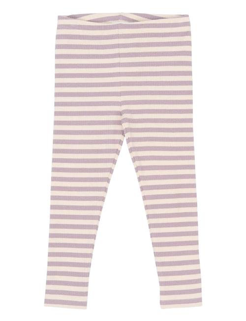 The New | Tnstfro Rib Leggings | 104