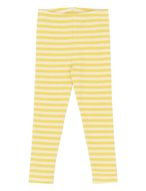 The New | Tnstfro Rib Leggings | 98