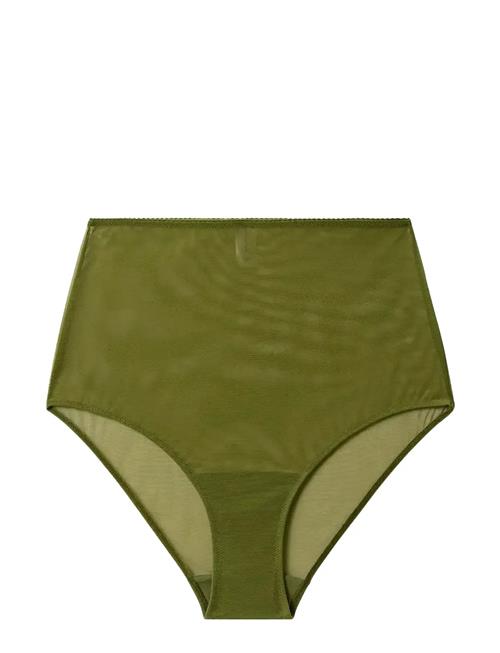 Understatement Underwear | Mesh Highwaist Briefs | XL