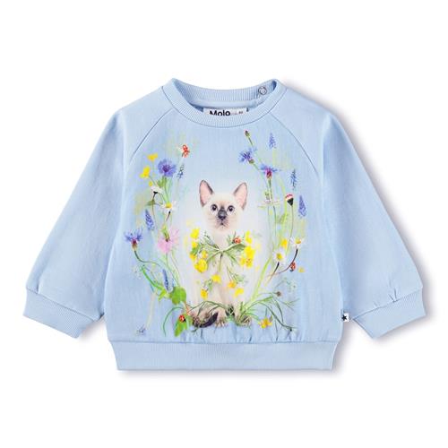 Molo GOTS Disc Sweatshirt Meadow Kitten  Meadow Kitten 104 cm  Blå  104 cm  kvinde