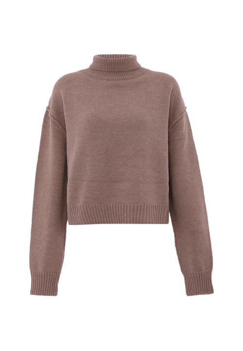 aleva Pullover  choko