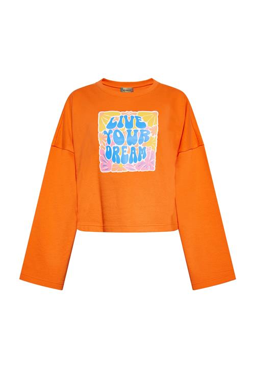 ebeeza Sweatshirt  azur / gylden gul / orange / lyserød