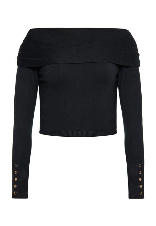 faina Pullover  sort